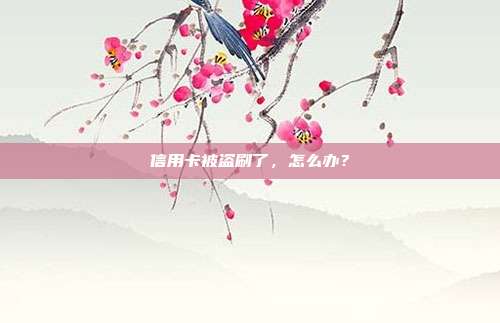 信用卡被盗刷了，怎么办？