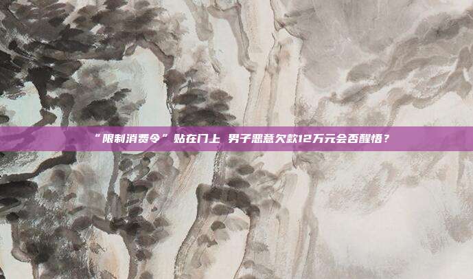 “限制消费令”贴在门上 男子恶意欠款12万元会否醒悟？