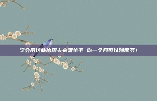 学会用这些信用卡来薅羊毛 你一个月可以赚很多！