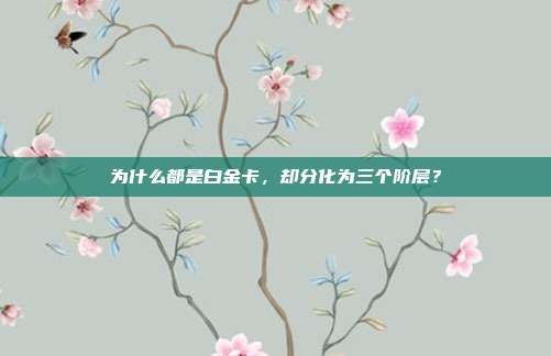 为什么都是白金卡，却分化为三个阶层？