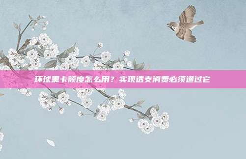 环球黑卡额度怎么用?实现透支消费必须通过它