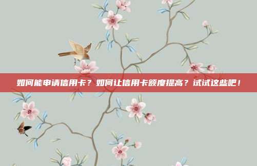 如何能申请信用卡?如何让信用卡额度提高?试试这些吧!