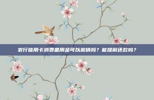 农行信用卡消费备用金可以撤销吗？能提前还款吗？