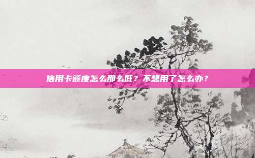 信用卡额度怎么那么低?不想用了怎么办?