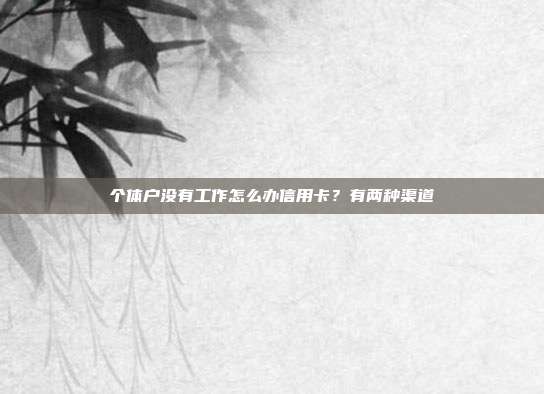 个体户没有工作怎么办信用卡?有两种渠道