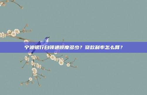 宁波银行白领通额度多少?贷款利率怎么算?