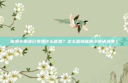 信用卡申请已受理什么意思?怎么查询信用卡申请进度?