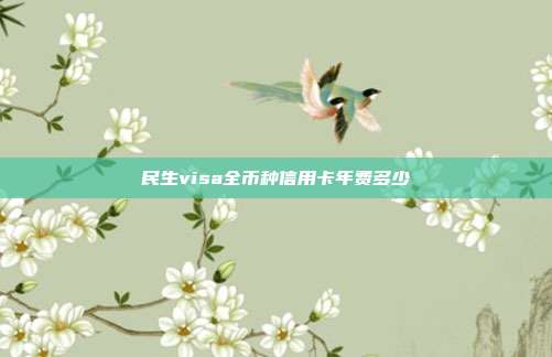 民生visa全币种信用卡年费多少