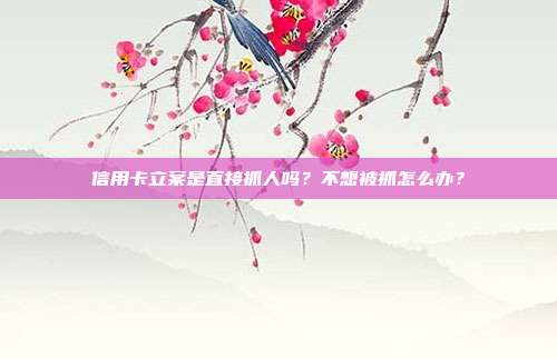 信用卡立案是直接抓人吗?不想被抓怎么办?