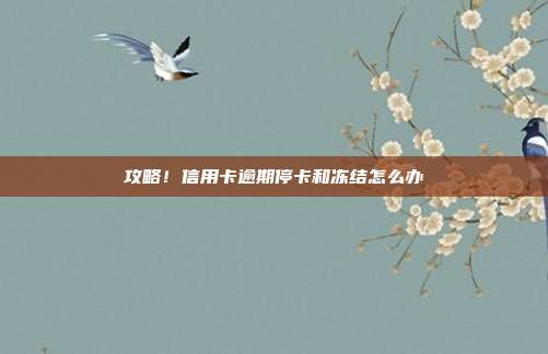 攻略!信用卡逾期停卡和冻结怎么办