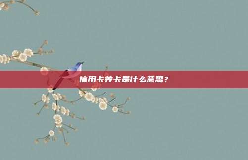 信用卡养卡是什么意思?