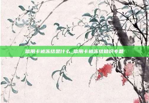 信用卡被冻结是什么_信用卡被冻结知识专题