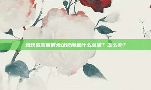 蚂蚁借呗暂时无法使用是什么意思?怎么办?