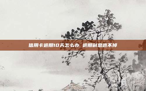 信用卡逾期10天怎么办 逾期利息逃不掉