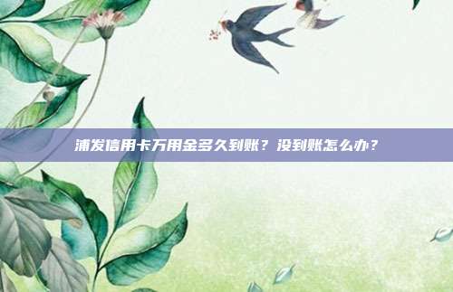 浦发信用卡万用金多久到账？没到账怎么办？