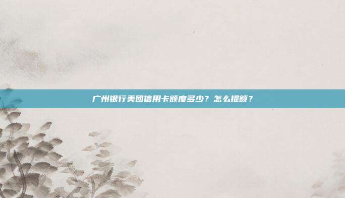 广州银行美团信用卡额度多少？怎么提额？