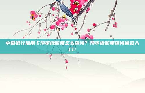 中国银行信用卡预审批额度怎么查询？预审批额度查询通道入口！