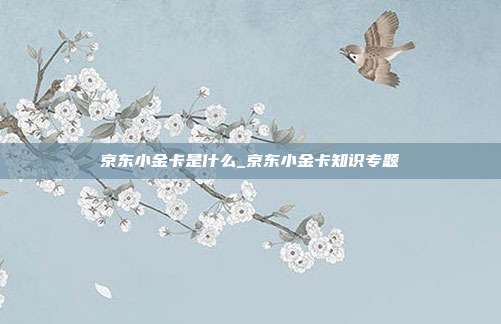 京东小金卡是什么_京东小金卡知识专题