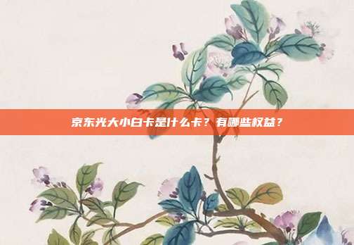 京东光大小白卡是什么卡?有哪些权益?