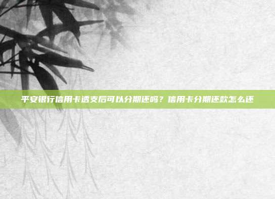 平安银行信用卡透支后可以分期还吗?信用卡分期还款怎么还