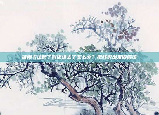信用卡注销了钱还进去了怎么办？把钱取出来很麻烦