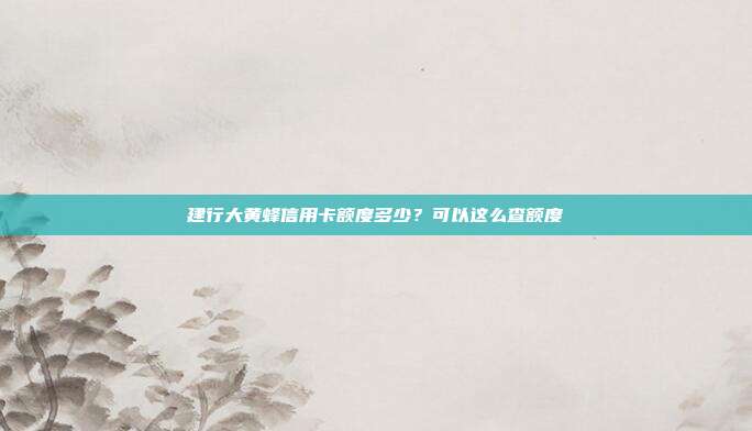 建行大黄蜂信用卡额度多少?可以这么查额度
