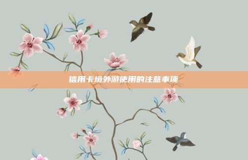 信用卡境外游使用的注意事项