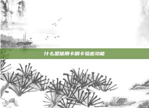 什么是信用卡刷卡验密功能