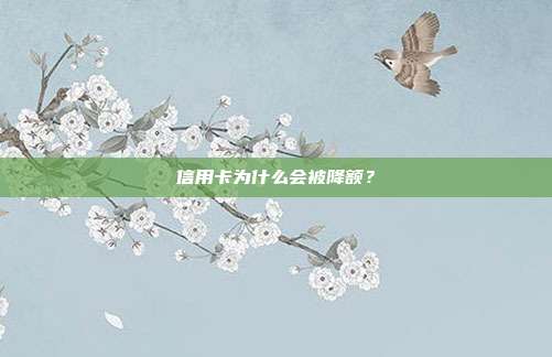 信用卡为什么会被降额?