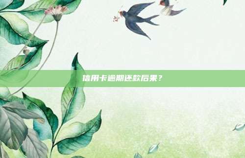 信用卡逾期还款后果?
