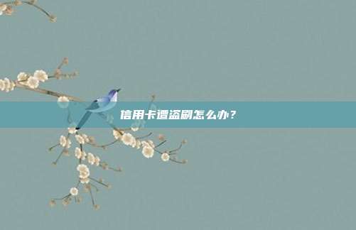 信用卡遭盗刷怎么办?