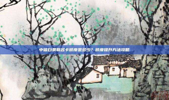 中信白条联名卡额度是多少?额度提升方法攻略