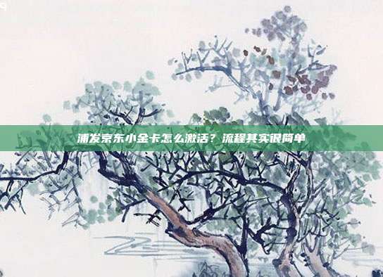 浦发京东小金卡怎么激活?流程其实很简单