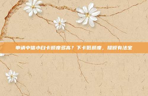 申请中信小白卡额度多高?下卡低额度,提额有法宝