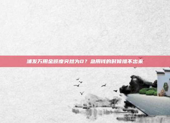浦发万用金额度突然为0?急用钱的时候撸不出来