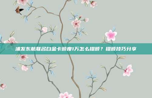 浦发东航联名白金卡额度1万怎么提额?提额技巧分享