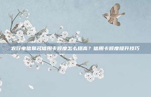 农行电信联名信用卡额度怎么提高?信用卡额度提升技巧