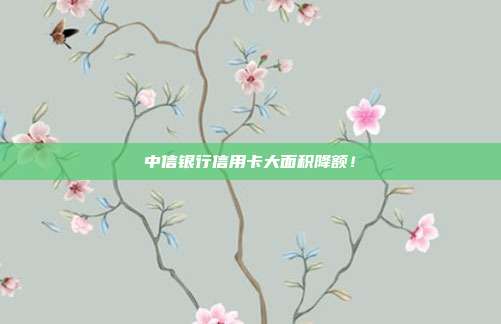 中信银行信用卡大面积降额!