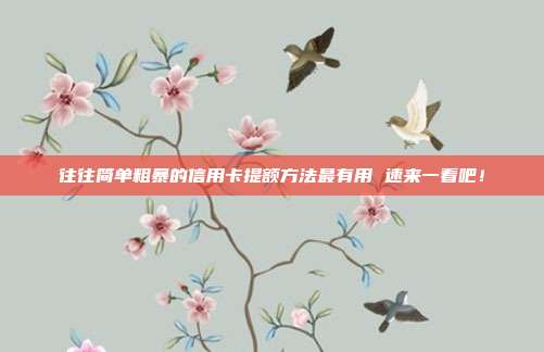 往往简单粗暴的信用卡提额方法最有用 速来一看吧!