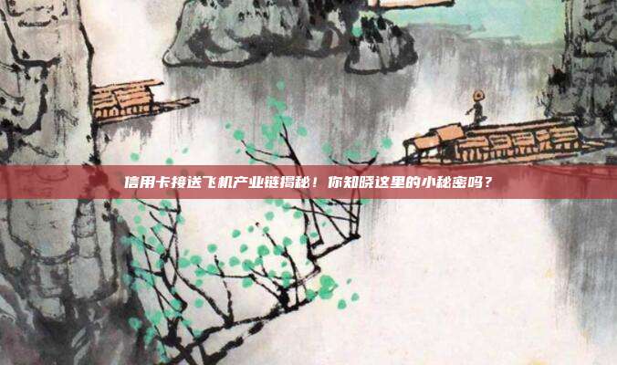 信用卡接送飞机产业链揭秘!你知晓这里的小秘密吗?