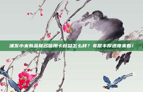浦发小米有品联名信用卡权益怎么样?非常丰厚速度来看!