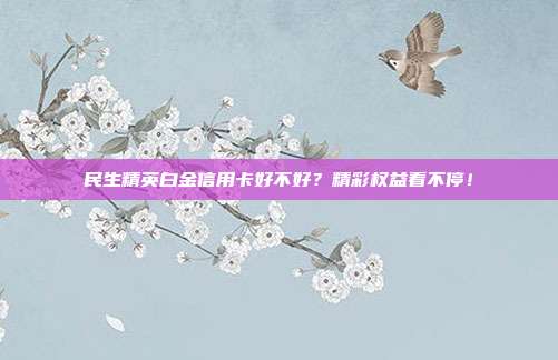 民生精英白金信用卡好不好?精彩权益看不停!