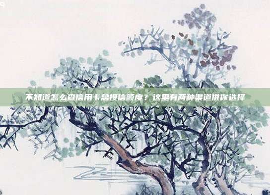 不知道怎么查信用卡总授信额度?这里有两种渠道供你选择