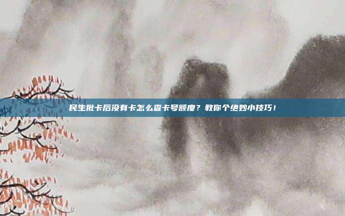 民生批卡后没有卡怎么查卡号额度?教你个绝妙小技巧!