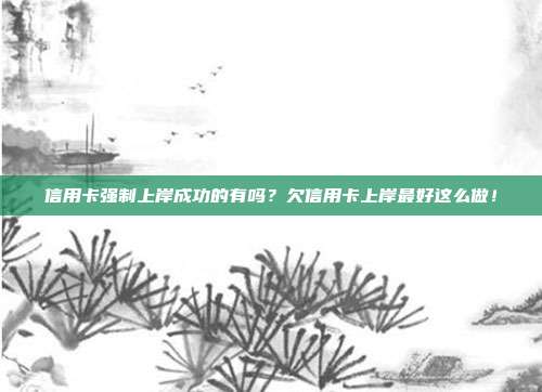 信用卡强制上岸成功的有吗?欠信用卡上岸最好这么做!