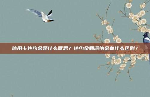 信用卡违约金是什么意思?违约金和滞纳金有什么区别?