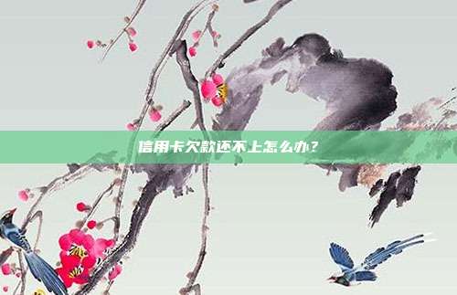 信用卡欠款还不上怎么办?