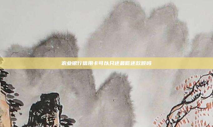 农业银行信用卡可以只还最低还款额吗