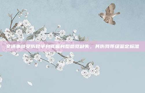 交通事故受伤致半身或偏身型感觉缺失,其伤残等级鉴定标准