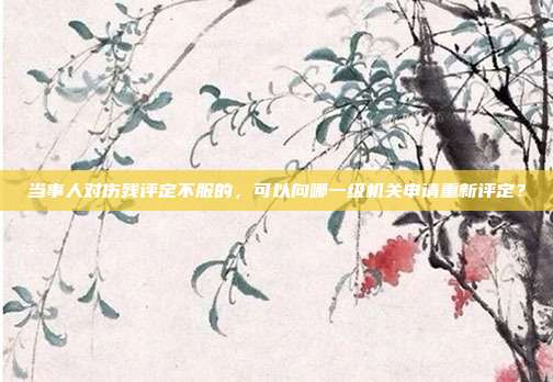 当事人对伤残评定不服的，可以向哪一级机关申请重新评定？